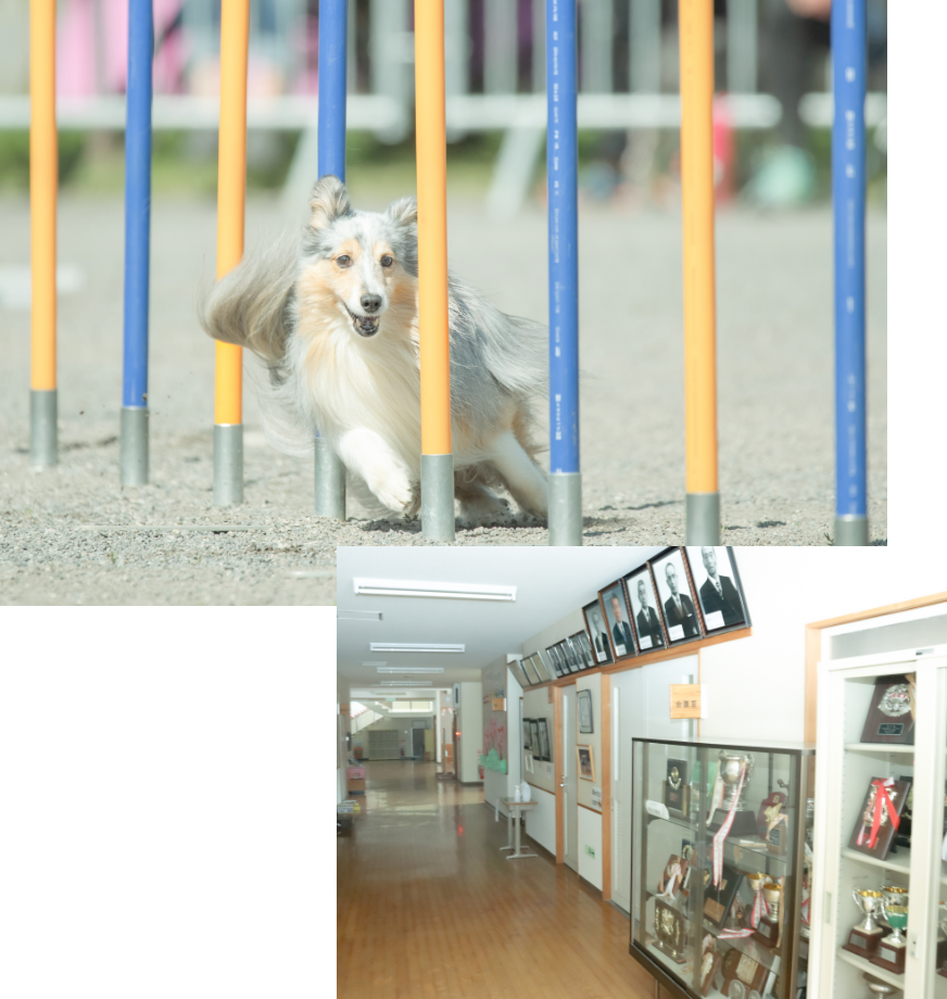  エコール・ド・オギについて