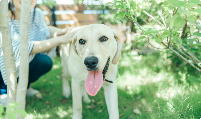 新しい事業をゼロから育てる面白さ